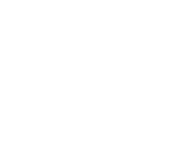 Illustration of brief